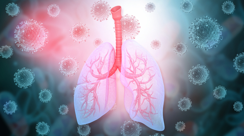 Human lungs anatomy on coronavirus background